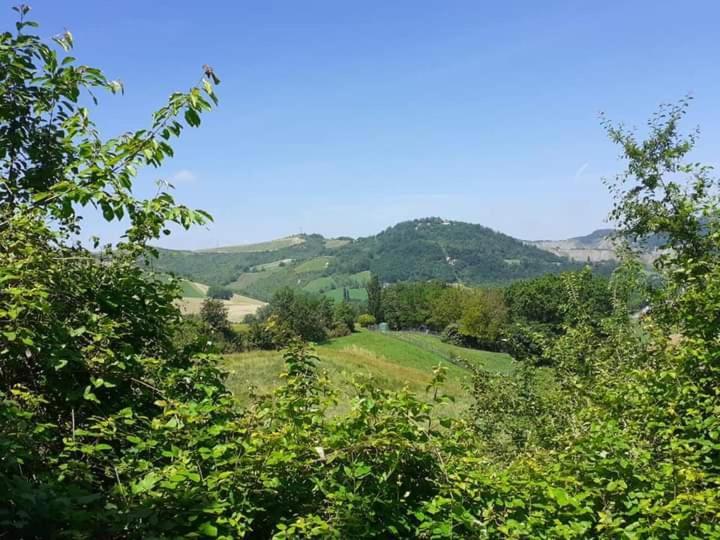 Ai Boschi Apartment Ozzano dell'Emilia Exterior photo